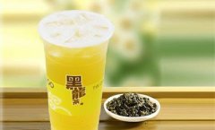 <b>黑龍茶奶茶一年能賺多少錢?利潤高嗎?</b>